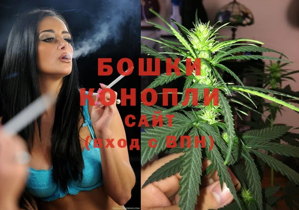 индика Аркадак