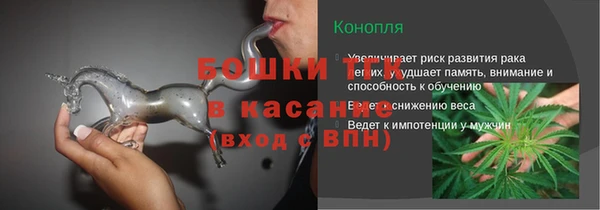индика Аркадак