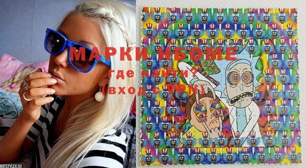 индика Аркадак