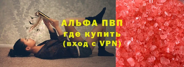 индика Аркадак