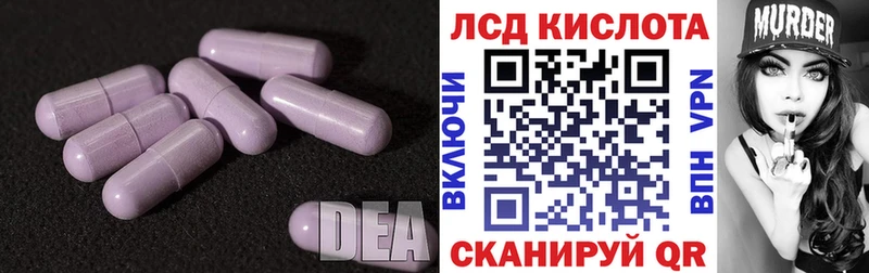 Лсд 25 экстази ecstasy  kraken маркетплейс  Новоржев 